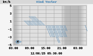 Wind Vector